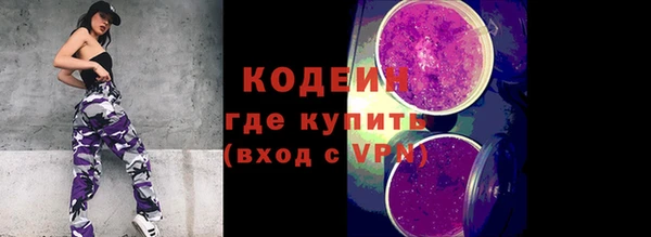 дживик Заводоуковск