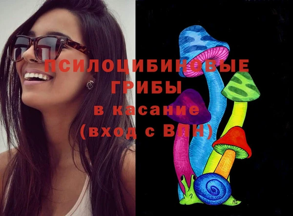 дживик Заводоуковск