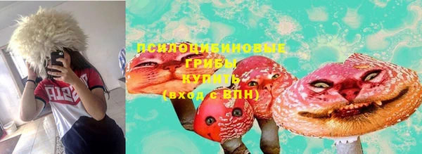 дживик Заводоуковск