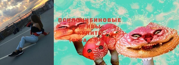 дурь Зеленокумск