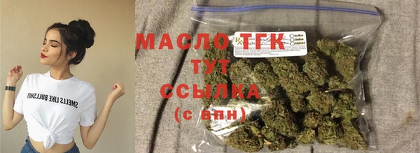 дживик Заводоуковск