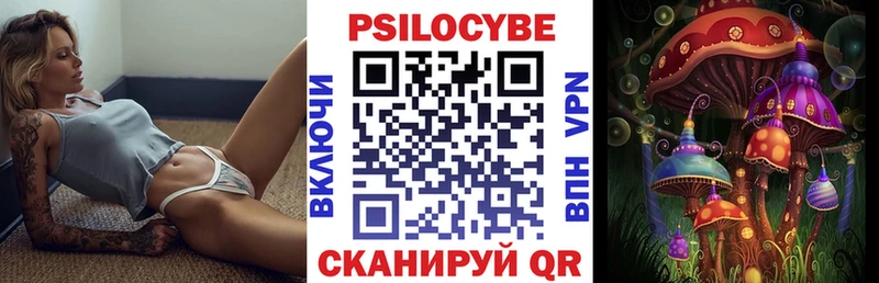 Галлюциногенные грибы MAGIC MUSHROOMS  Купить  Иннополис 