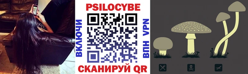 Псилоцибиновые грибы GOLDEN TEACHER Иннополис